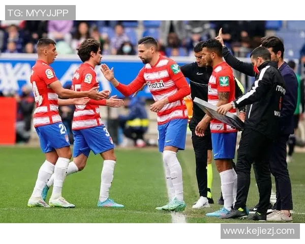 西甲精彩对决里昂与切尔西握手言和绝杀瞬间引发全场热烈反响